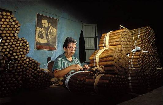A woman rolling cigars in a cigar factory.