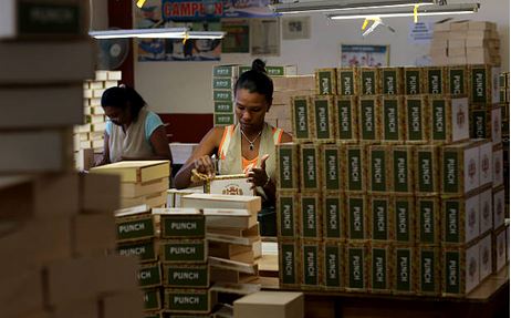 A woman boxing cigars in a cigar factory.