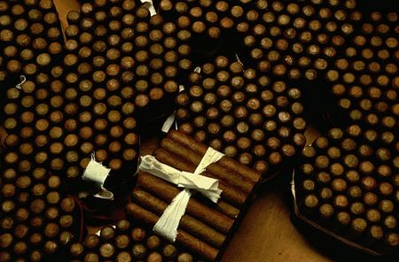 more Cigars in bundles in a cigar factory.